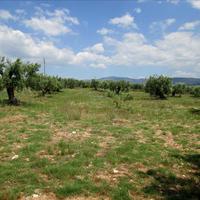 Land plot in Greece, 5338 sq.m.