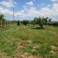 Land plot in Greece, 5338 sq.m.