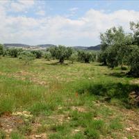 Land plot in Greece, 5338 sq.m.