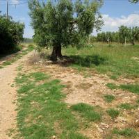 Land plot in Greece, 5338 sq.m.