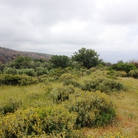 Land plot in Greece