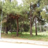 Land plot in Greece