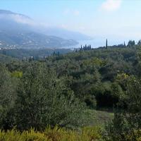 Земельный участок в Греции, 2000 кв.м.