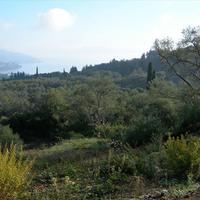 Земельный участок в Греции, 2000 кв.м.