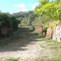 Земельный участок в Греции, 2000 кв.м.