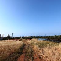 Земельный участок в Греции, 6880 кв.м.