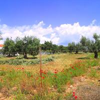 Land plot in Greece