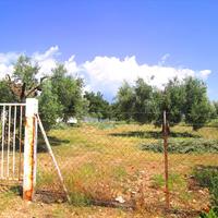 Land plot in Greece