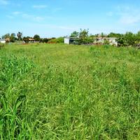 Land plot in Greece