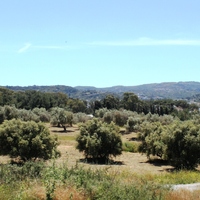 Other in Greece, 140 sq.m.