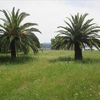 Other in Greece, 200 sq.m.