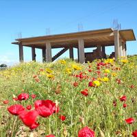 Земельный участок в Греции