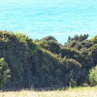 Земельный участок в Греции