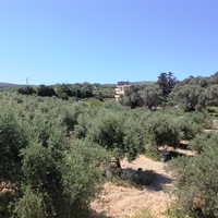 Land plot in Greece