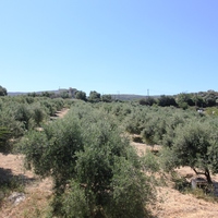 Land plot in Greece