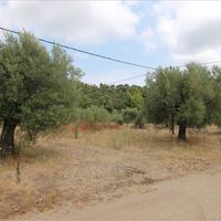 Земельный участок в Греции, 726 кв.м.