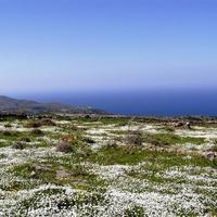 Земельный участок в Греции, 400 кв.м.