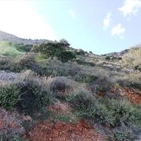 Land plot in Greece, 1200 sq.m.