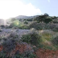 Land plot in Greece, 1200 sq.m.