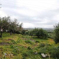 Land plot in Greece, 3000 sq.m.