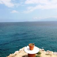 Land plot in Greece, 14361 sq.m.