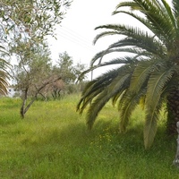 Other in Greece, 126 sq.m.