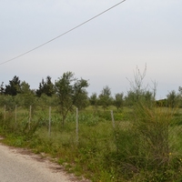 Land plot in Greece
