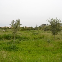 Land plot in Greece