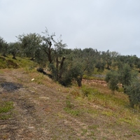 Land plot in Greece