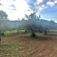 Земельный участок в Греции