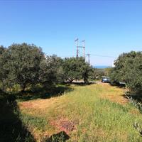 Земельный участок в Греции, 650 кв.м.