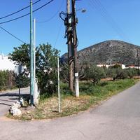 Land plot in Greece, 550 sq.m.