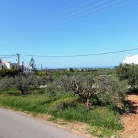 Land plot in Greece, 600 sq.m.
