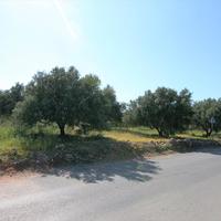 Land plot in Greece, 600 sq.m.