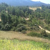 Земельный участок в Греции