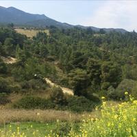 Земельный участок в Греции