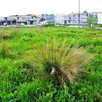 Land plot in Greece
