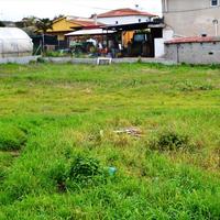 Land plot in Greece