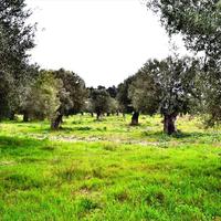 Земельный участок в Греции