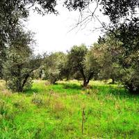 Земельный участок в Греции