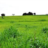 Земельный участок в Греции