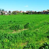 Land plot in Greece