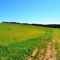 Land plot in Greece