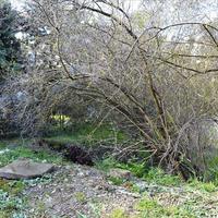 Land plot in Greece, 550 sq.m.