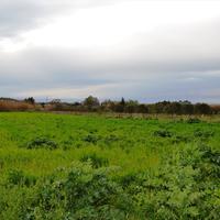 Land plot in Greece, 4400 sq.m.
