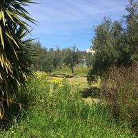 Land plot in Greece