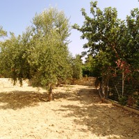 Flat in Greece, 170 sq.m.