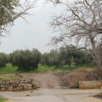 Land plot in Greece, 1100 sq.m.