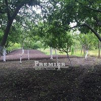 Дом в Болгарии, Бургасская область, 100 кв.м.