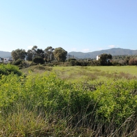 Land plot in Greece